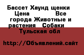 Бассет Хаунд щенки › Цена ­ 20 000 - Все города Животные и растения » Собаки   . Тульская обл.